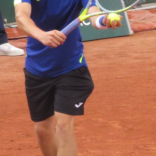Dalibor Svrcina