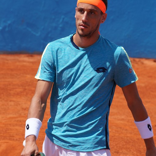 Damir Dzumhur