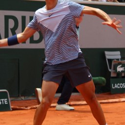 Dino Prizmic