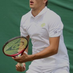 Luciano Darderi