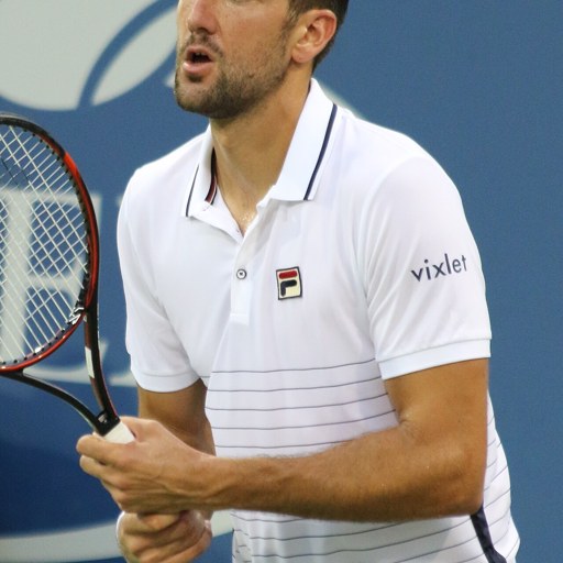 Marin Cilic