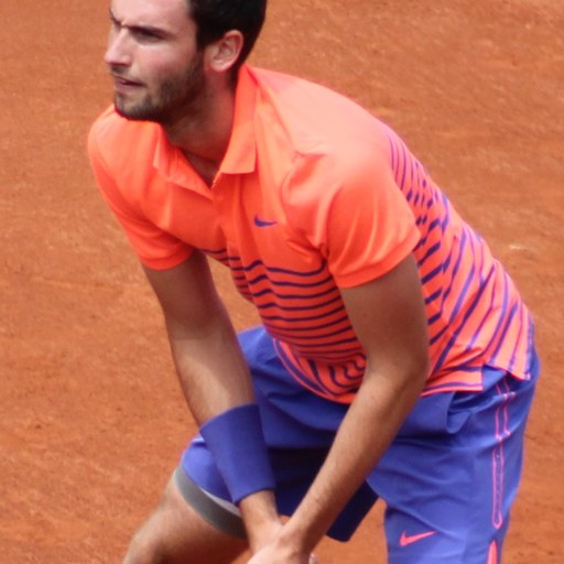 Quentin Halys