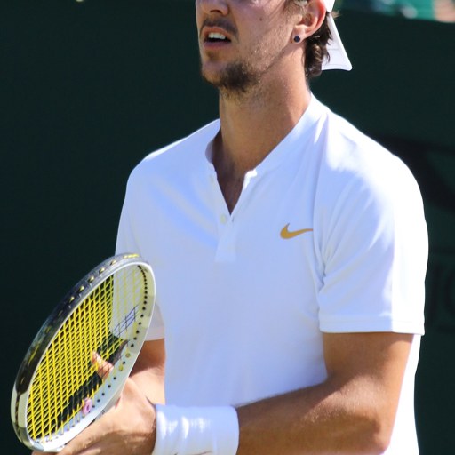 Thanasi Kokkinakis
